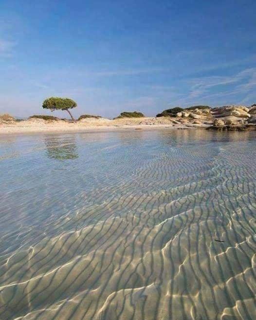 Villa Elea Vurvurú Kültér fotó